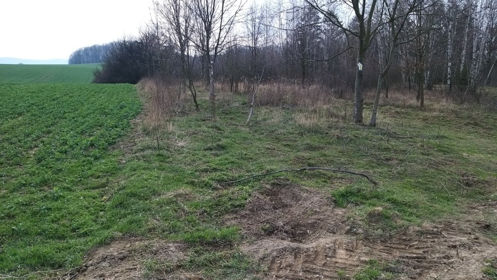zwiad-na-pogorzu-kaczawskim-86386