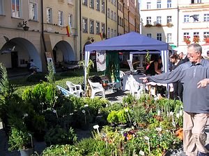 xvii-kiermasz-ekologiczny-8639