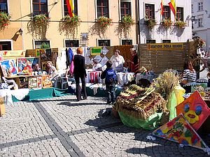 xvii-kiermasz-ekologiczny-8639
