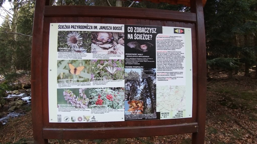 opata-wymiata-86503