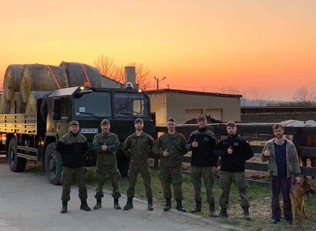 terytorialsi-dla-zwierzat-pomoz-i-ty-86553