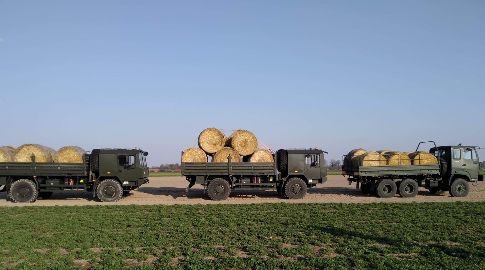 terytorialsi-dla-zwierzat-pomoz-i-ty-86553