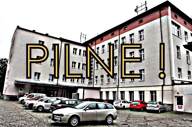 apel-dyrektora-caritas-o-pomoc-dla-jeleniogorskiego-zolu-86686