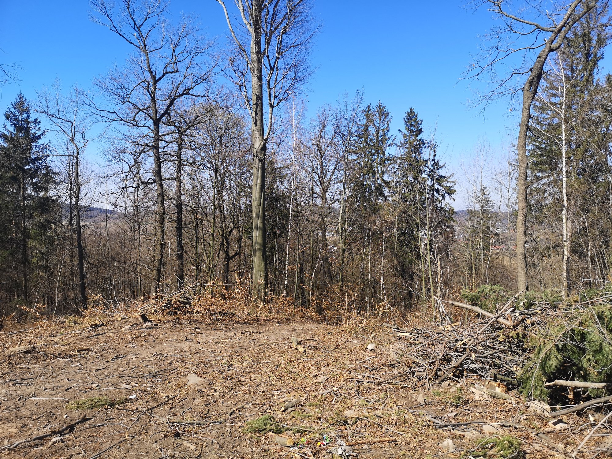 wieza-widokowa-na-sotysiej-gorze-czas-na-przetarg-86707