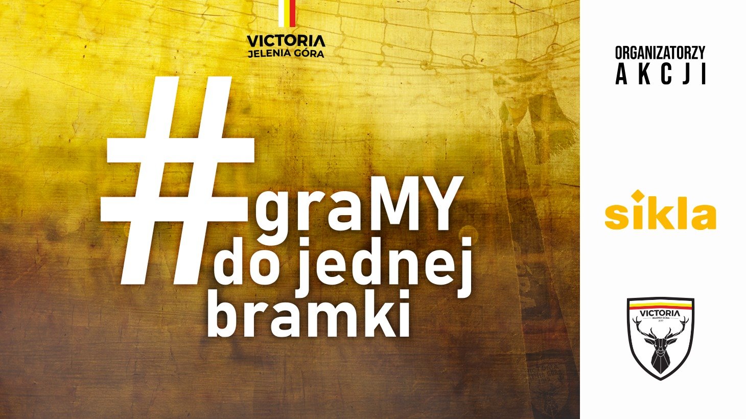 graja-do-jednej-bramki-86747
