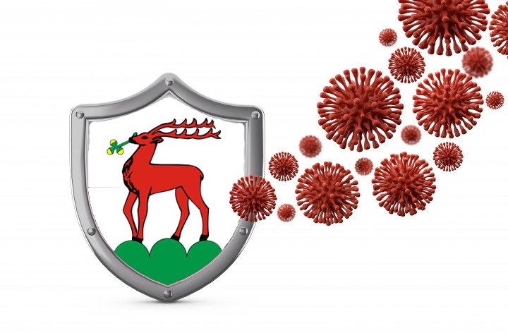 mariusz-gierus-co-z-jeleniogorska-tarcza-antykryzysowa-86831