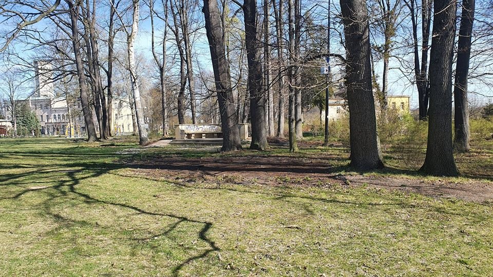 wiosenne-porzadki-w-gminie-mysakowice-86842