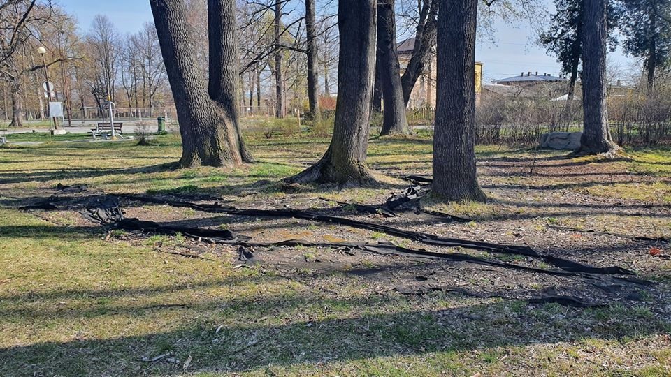 wiosenne-porzadki-w-gminie-mysakowice-86842