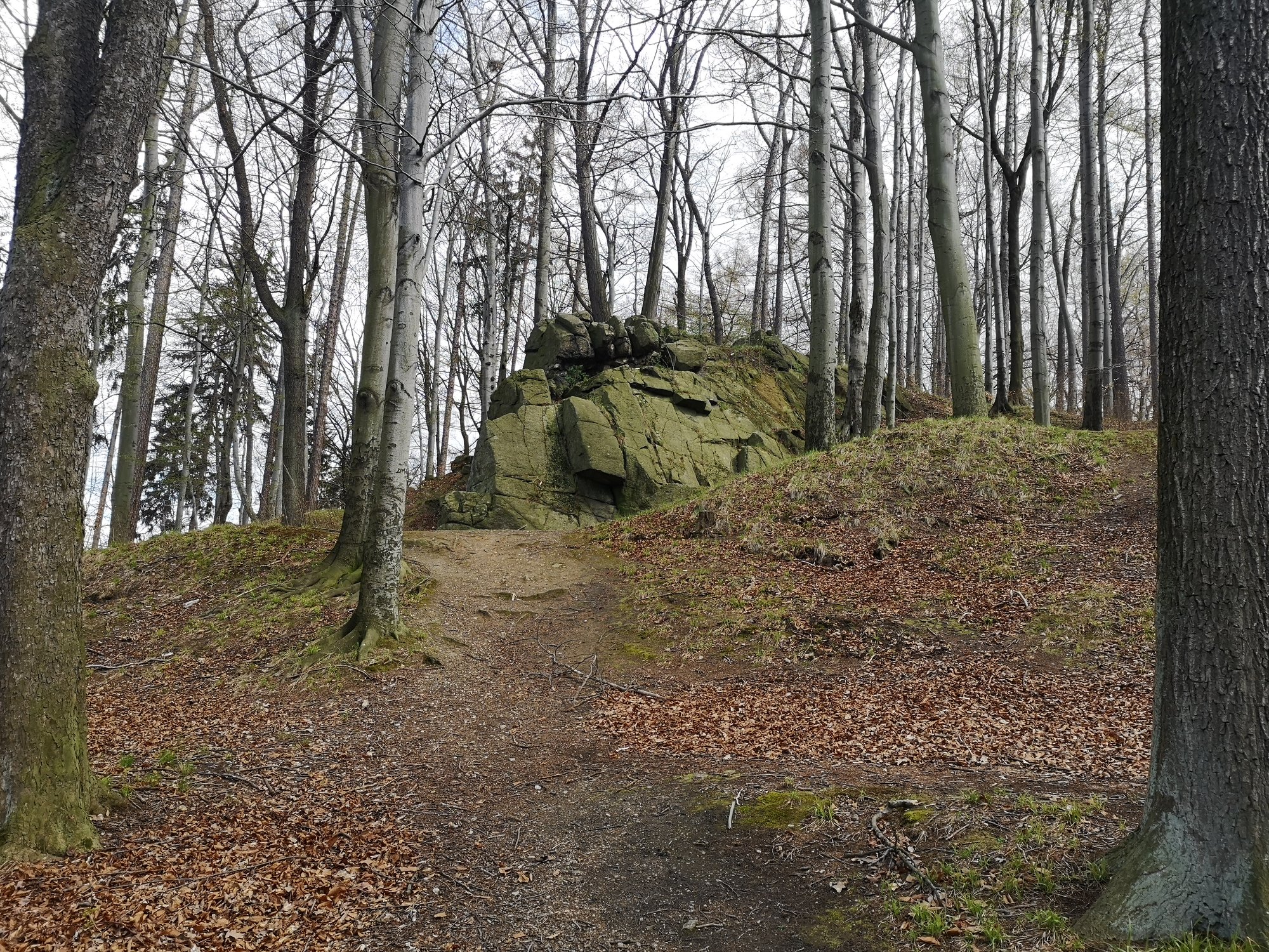 od-poniedziaku-wiecej-wolnosci-86864