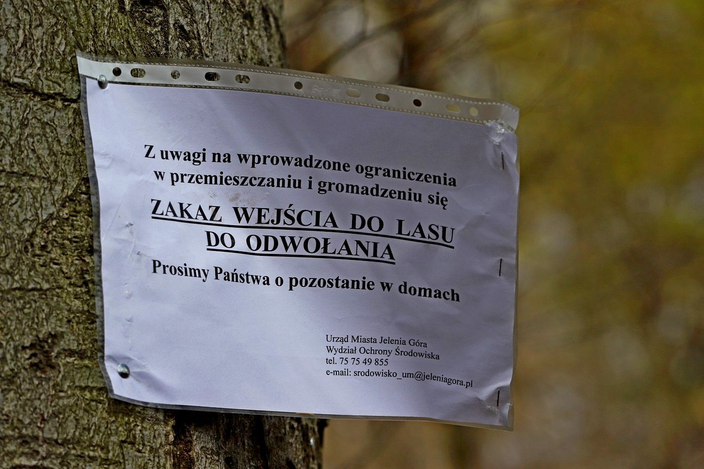 od-poniedziaku-wiecej-wolnosci-86864
