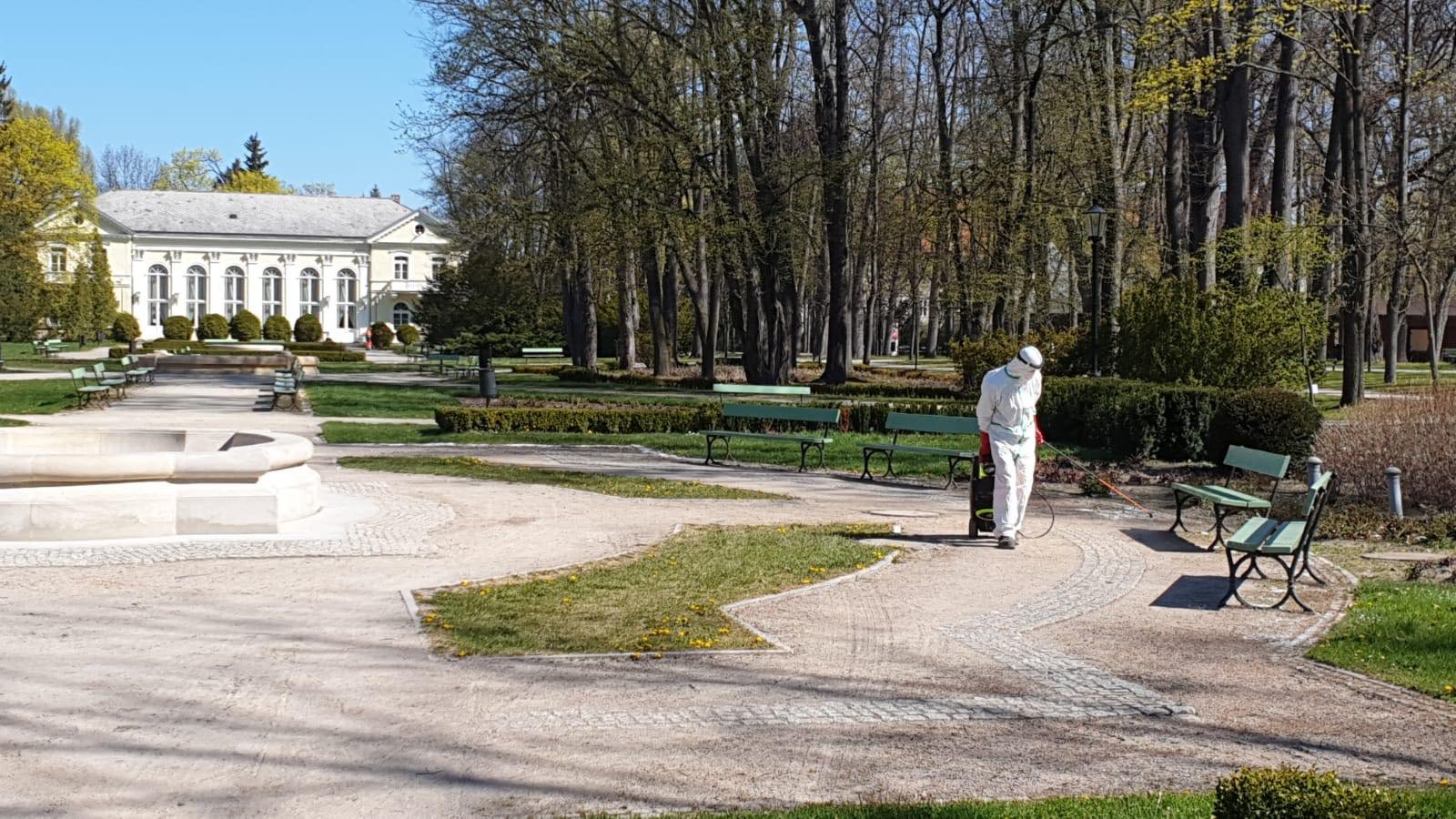 mpgk-przeciw-pandemii-86915