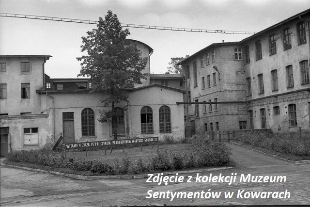 te-zdjecia-to-unikaty-87025