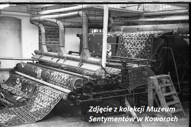 te-zdjecia-to-unikaty-87025