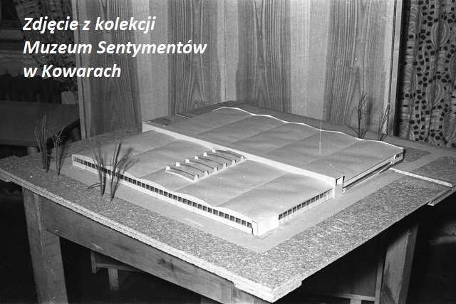 te-zdjecia-to-unikaty-87025