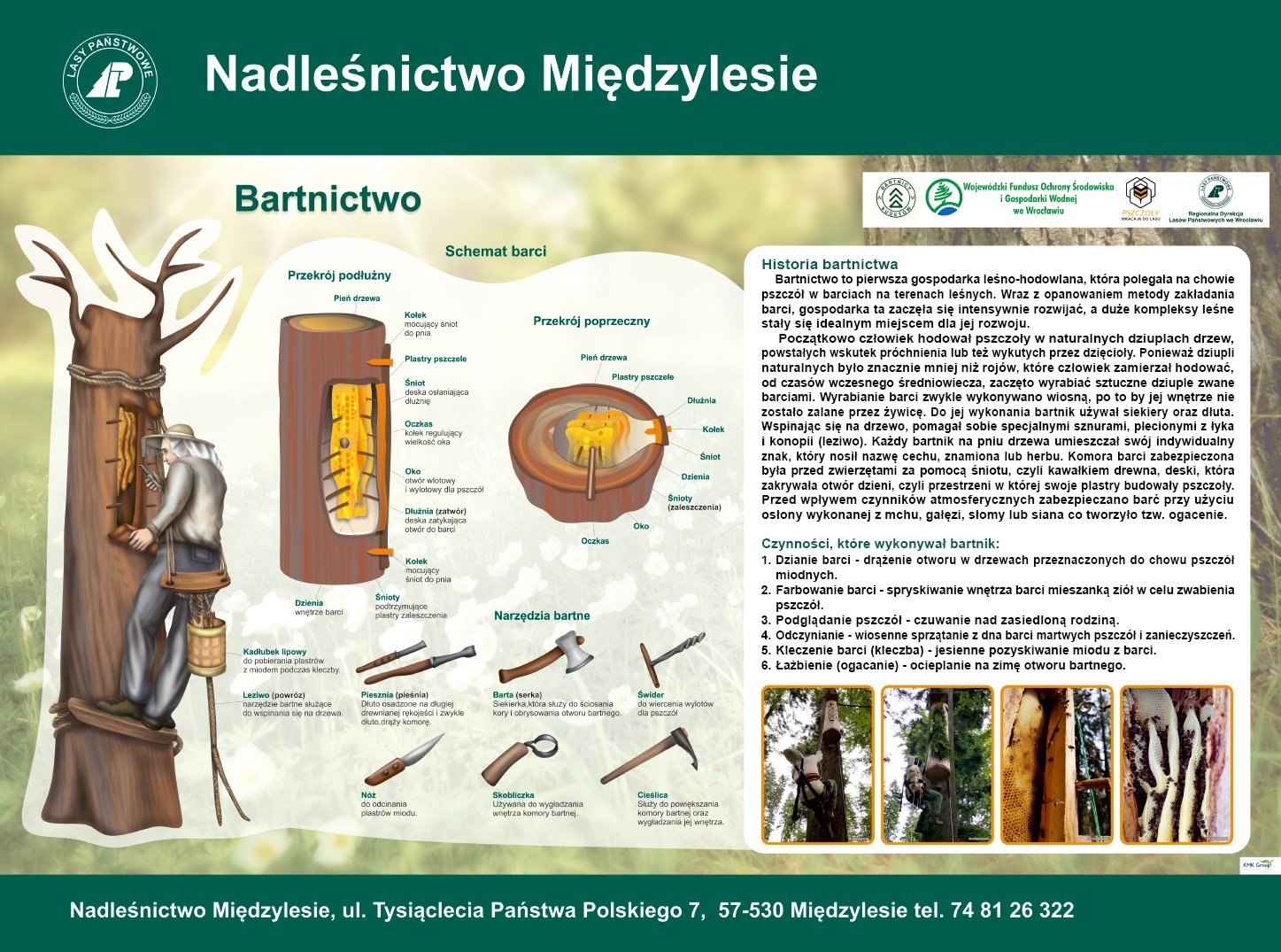 gdzie-mieszka-makatka-zbojnica-87095