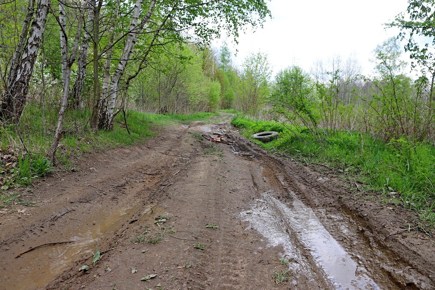 poacza-sciezki-rowerowe-87120