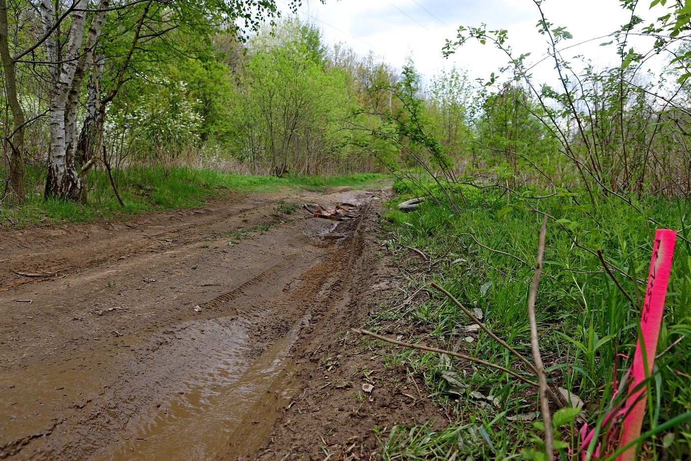 poacza-sciezki-rowerowe-87120