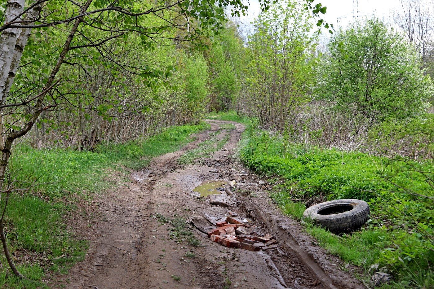 poacza-sciezki-rowerowe-87120