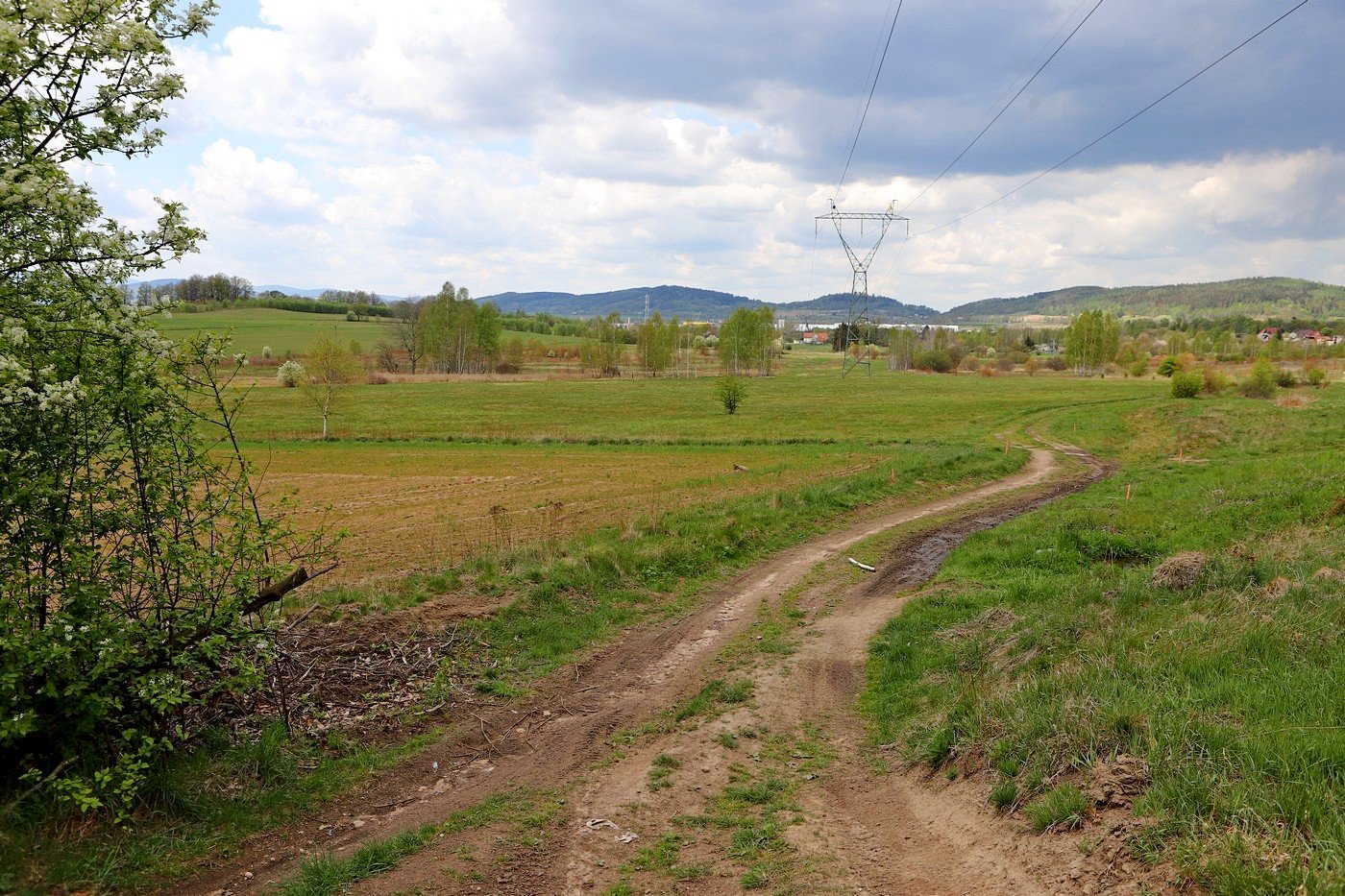 poacza-sciezki-rowerowe-87120