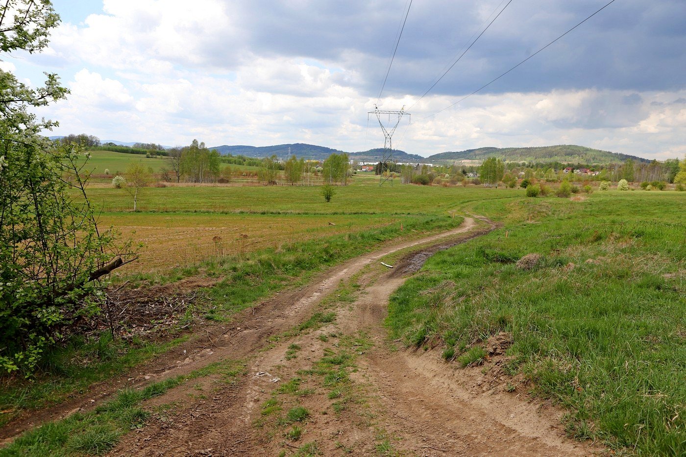 poacza-sciezki-rowerowe-87120