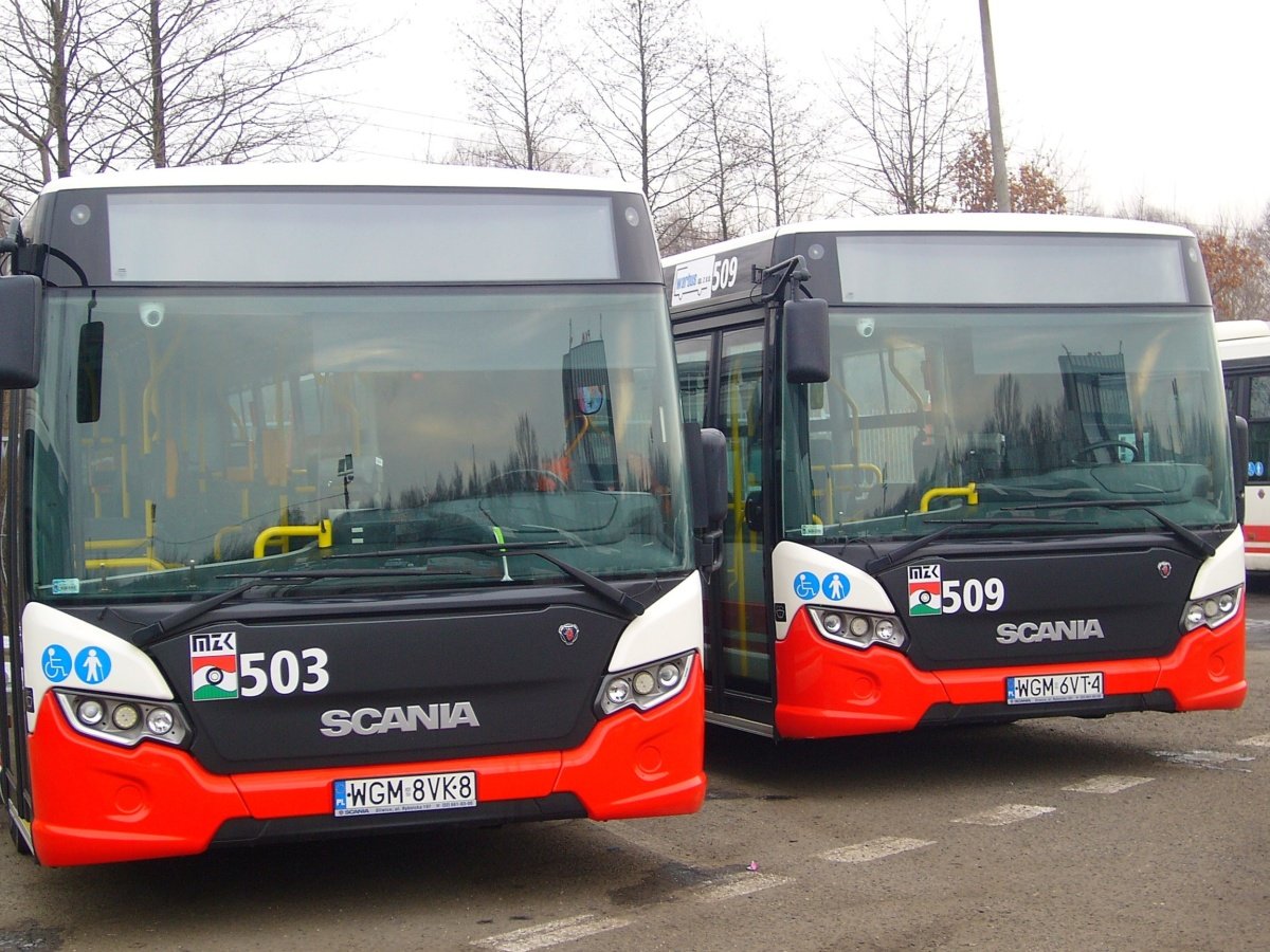 scanie-w-jeleniej-gorze-87138