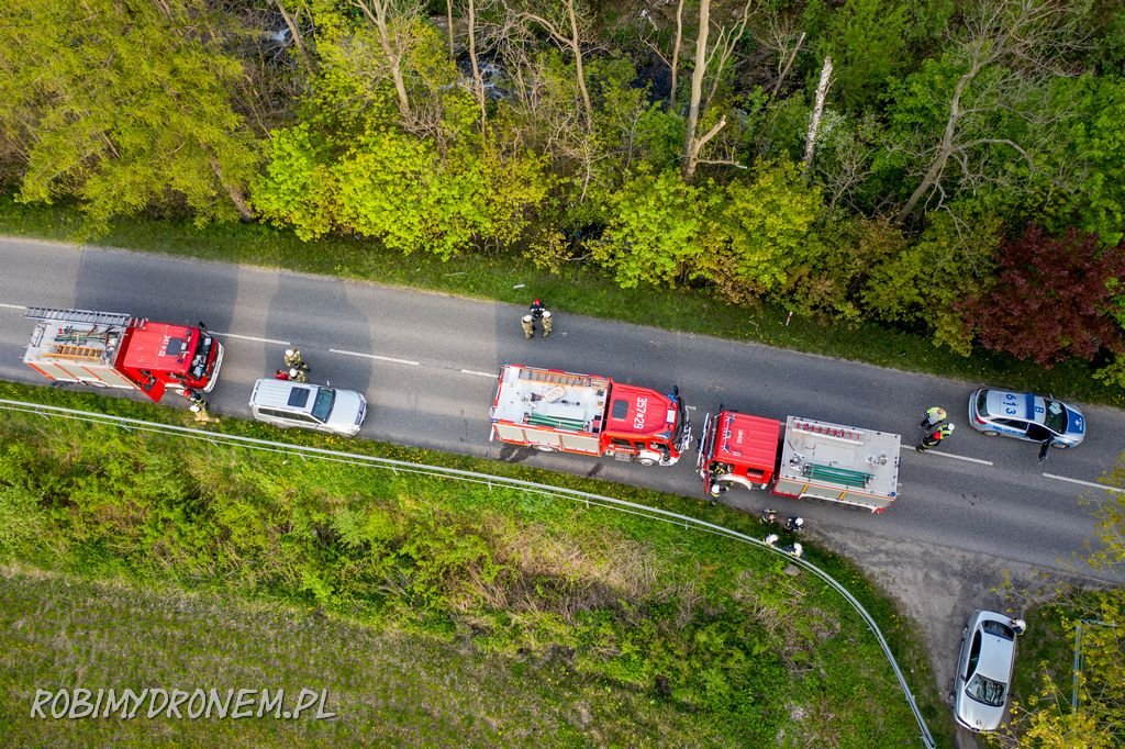 wjecha-bmw-w-zarosla-87198