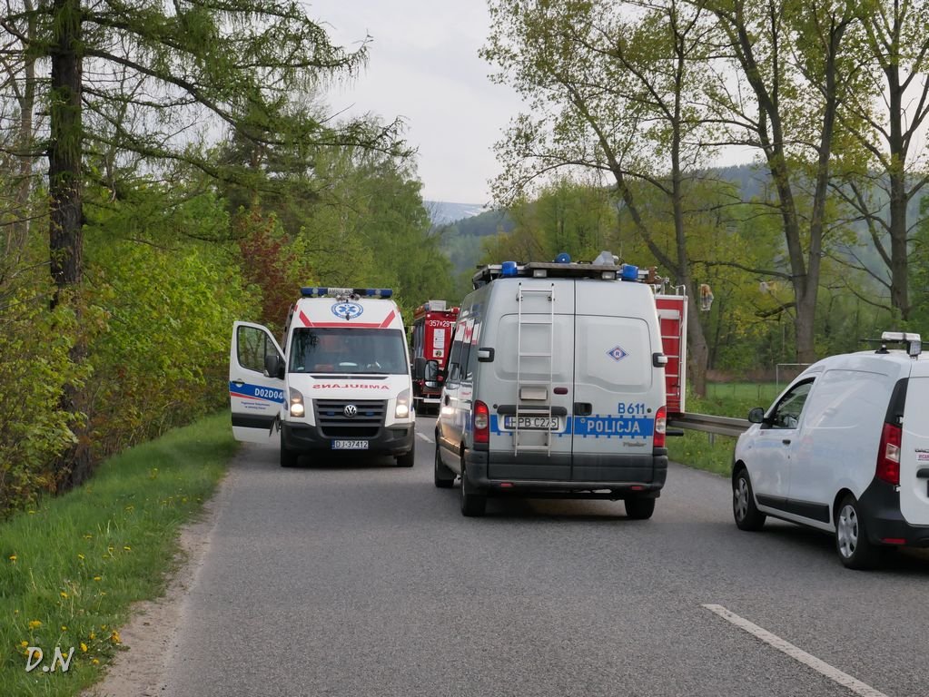 wjecha-bmw-w-zarosla-87198
