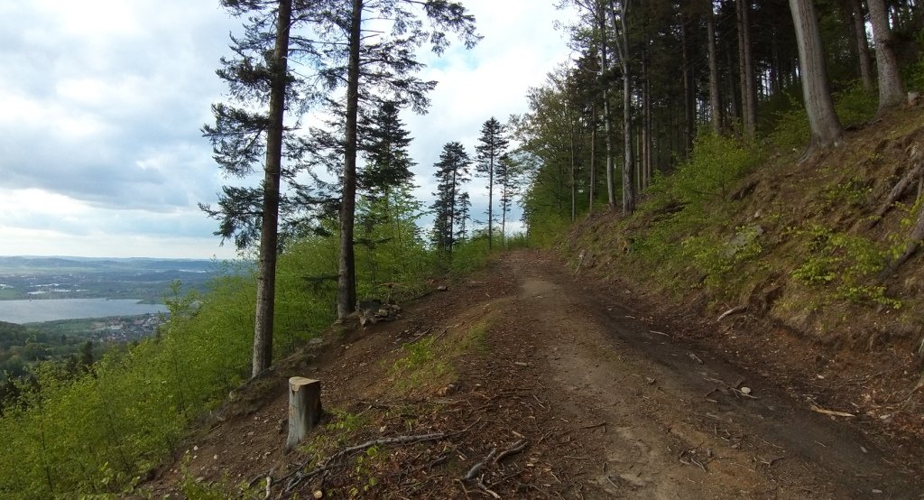 rowerowa-wyprawa-po-pogorzu-karkonoskim-87317