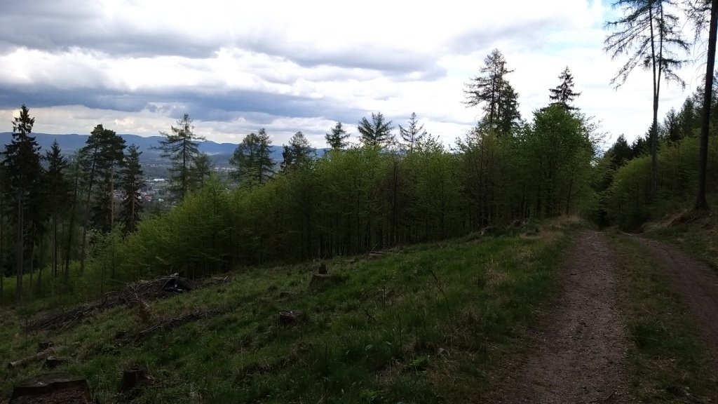 rowerowa-wyprawa-po-pogorzu-karkonoskim-87317