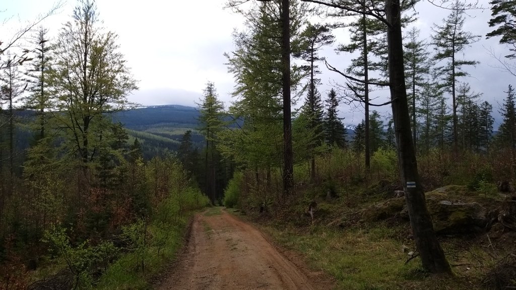 rowerowa-wyprawa-po-pogorzu-karkonoskim-87317
