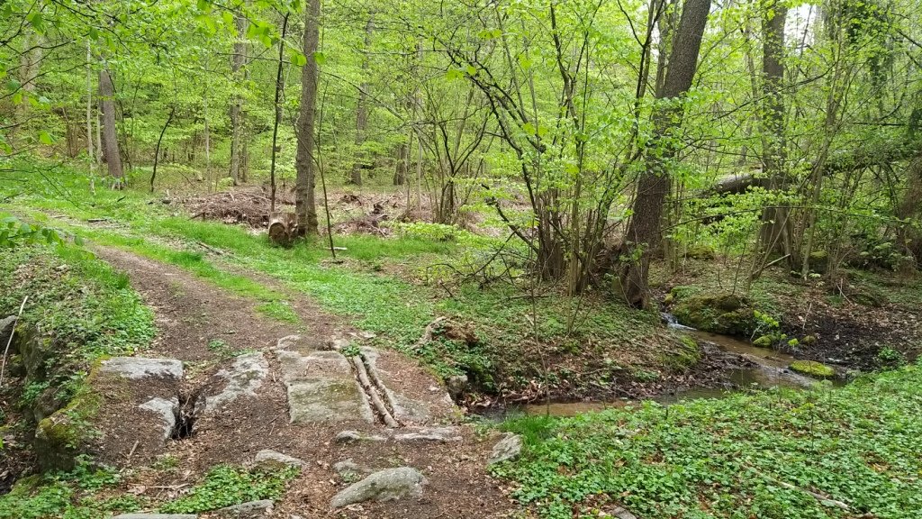 rowerowa-wyprawa-po-pogorzu-karkonoskim-87317
