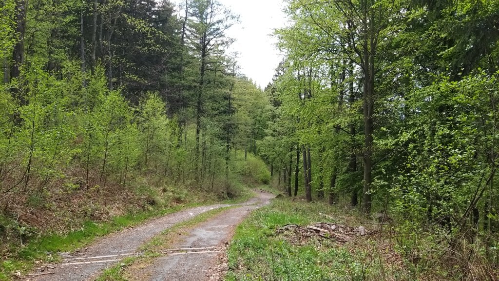 rowerowa-wyprawa-po-pogorzu-karkonoskim-87317
