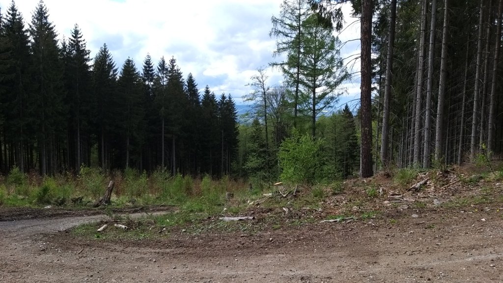 rowerowa-wyprawa-po-pogorzu-karkonoskim-87317