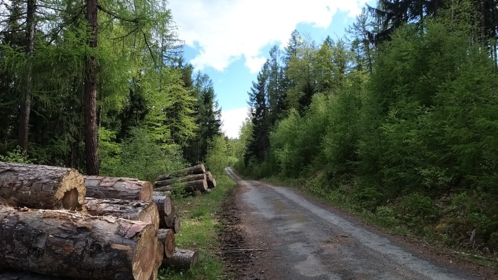 rowerowa-wyprawa-po-pogorzu-karkonoskim-87317