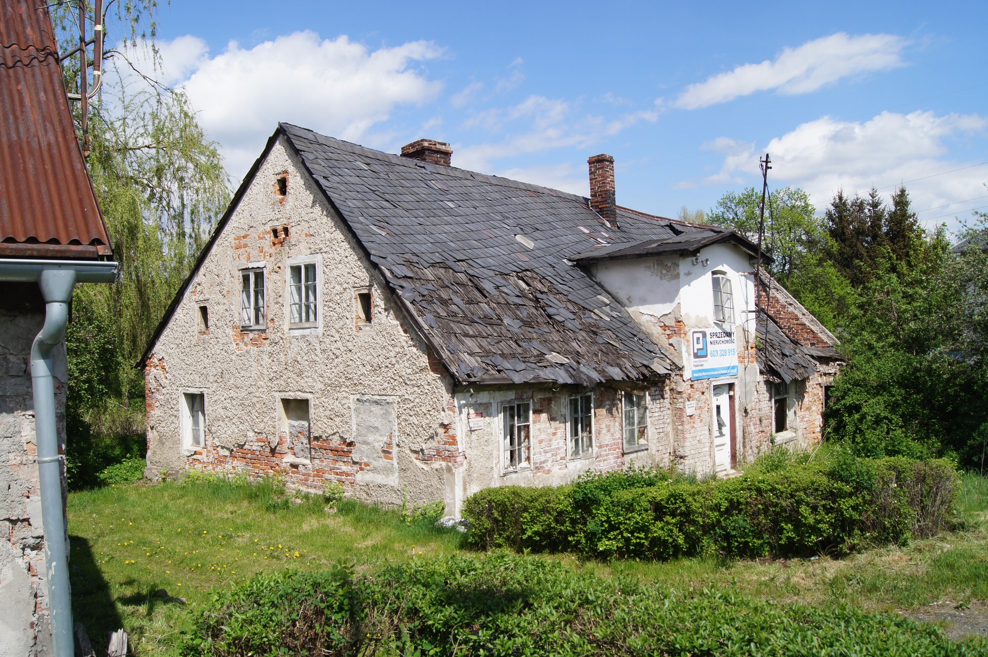 Ulica Wolności