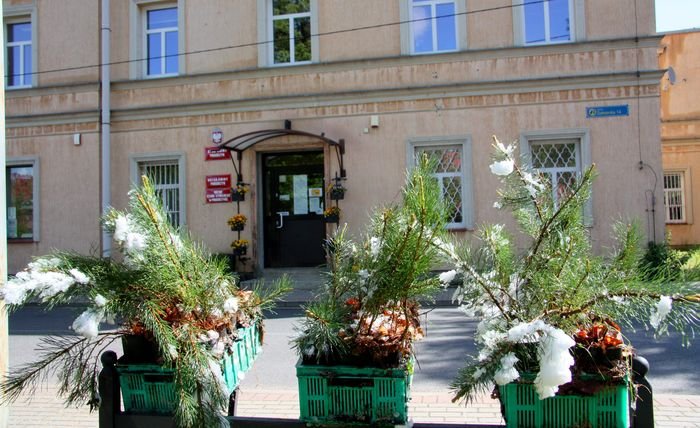 kosodrzewina-na-podgorzynskie-skwery-87345