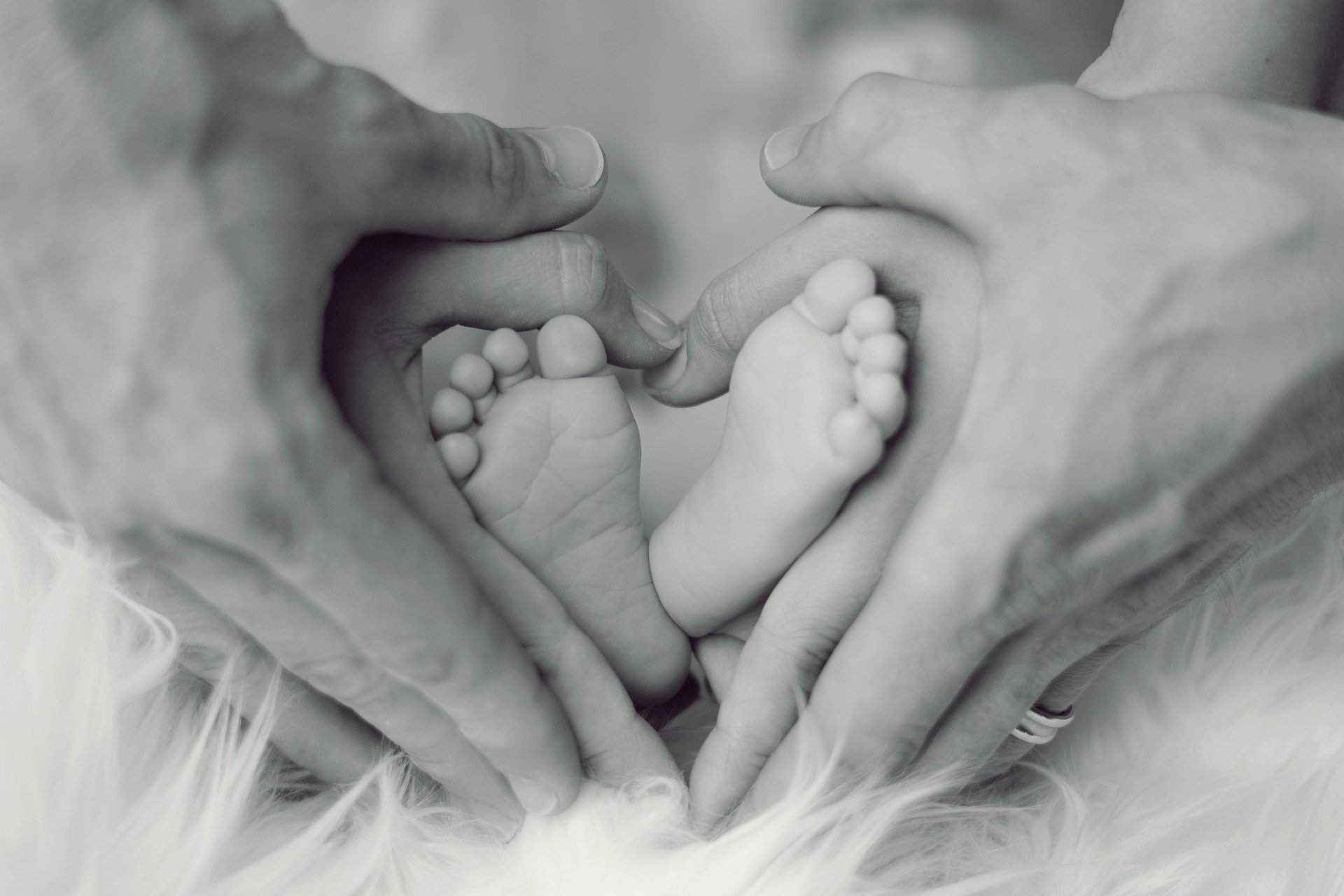 jak-znalezc-najtansze-ubezpieczenie-na-zycie-87378