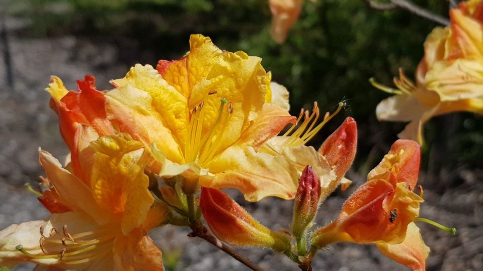 arboretum-zaprasza-87512