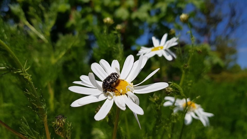 arboretum-zaprasza-87512