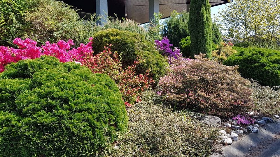 arboretum-zaprasza-87512