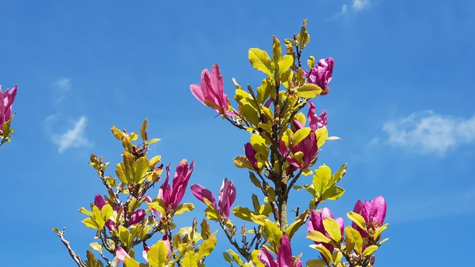 arboretum-zaprasza-87512