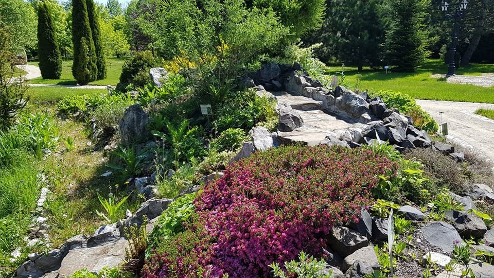 arboretum-zaprasza-87512