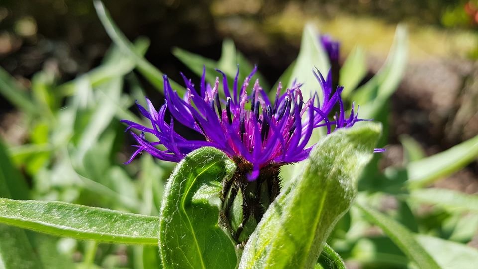 arboretum-zaprasza-87512