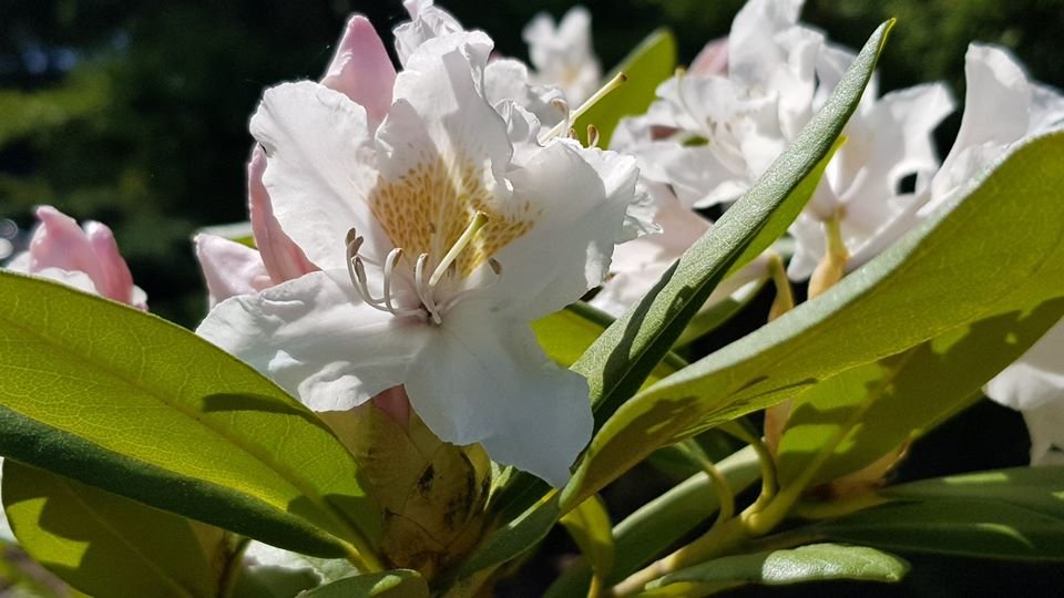 arboretum-zaprasza-87512