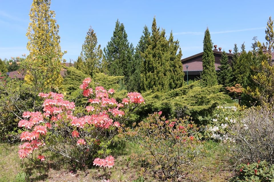 arboretum-zaprasza-87512