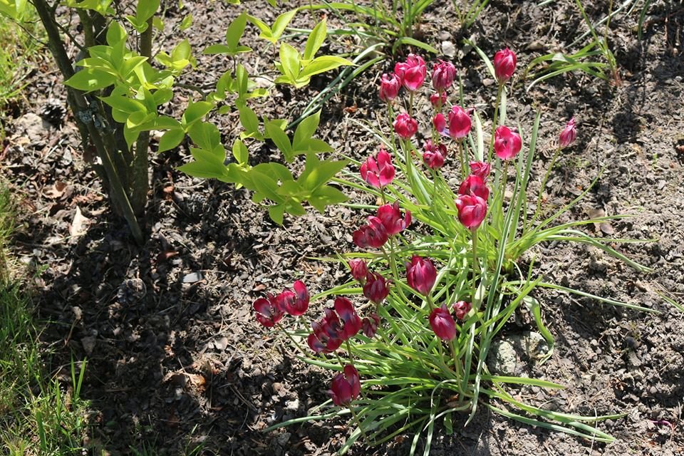 arboretum-zaprasza-87512