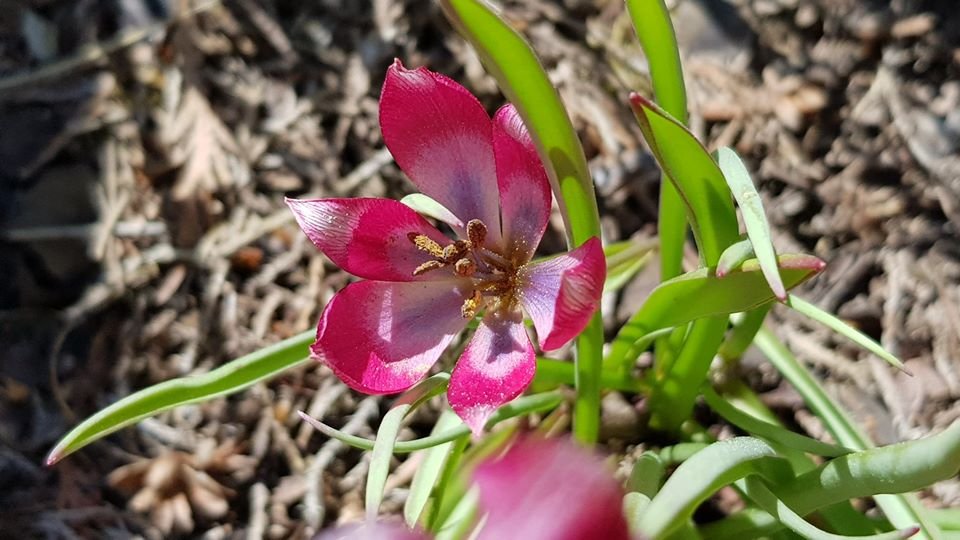 arboretum-zaprasza-87512