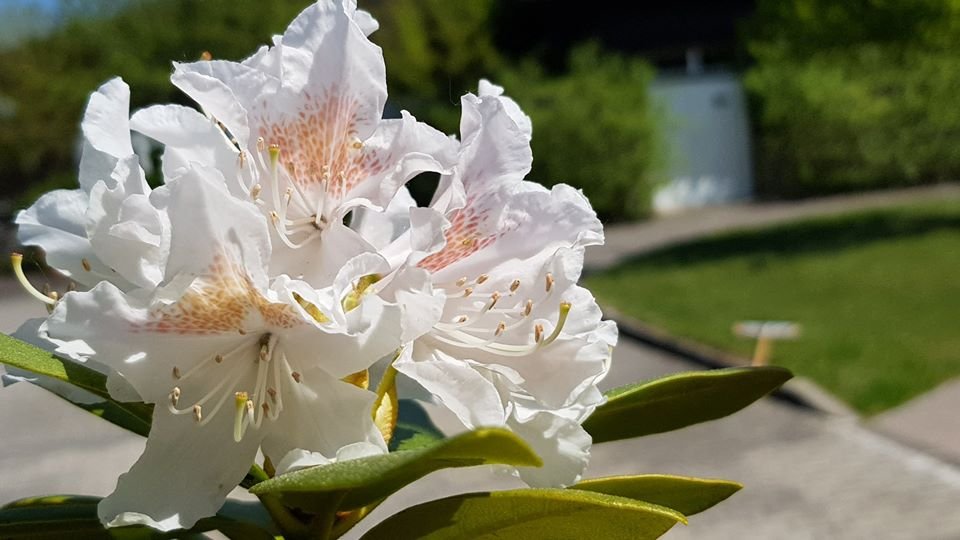 arboretum-zaprasza-87512