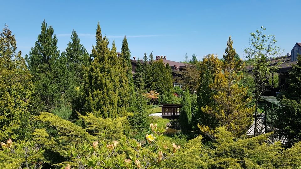 arboretum-zaprasza-87512
