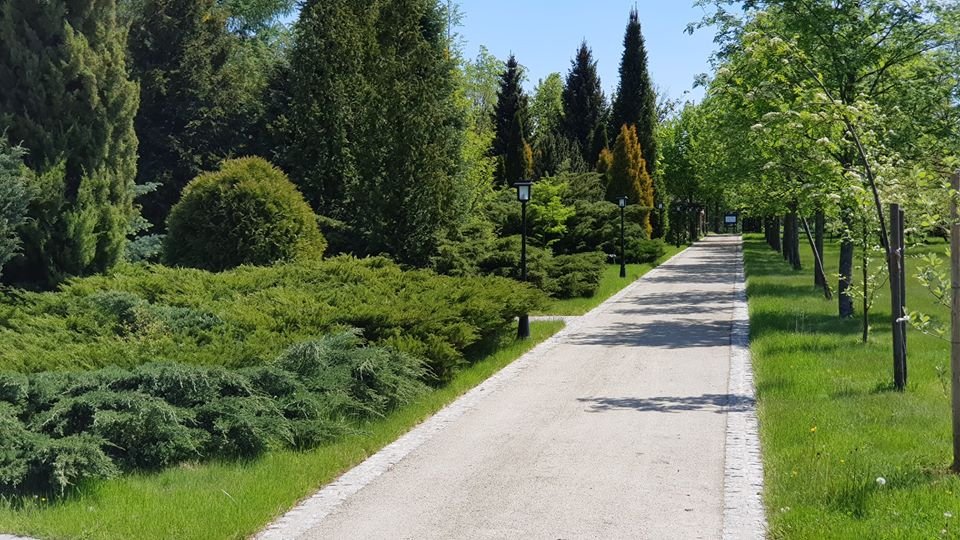 arboretum-zaprasza-87512